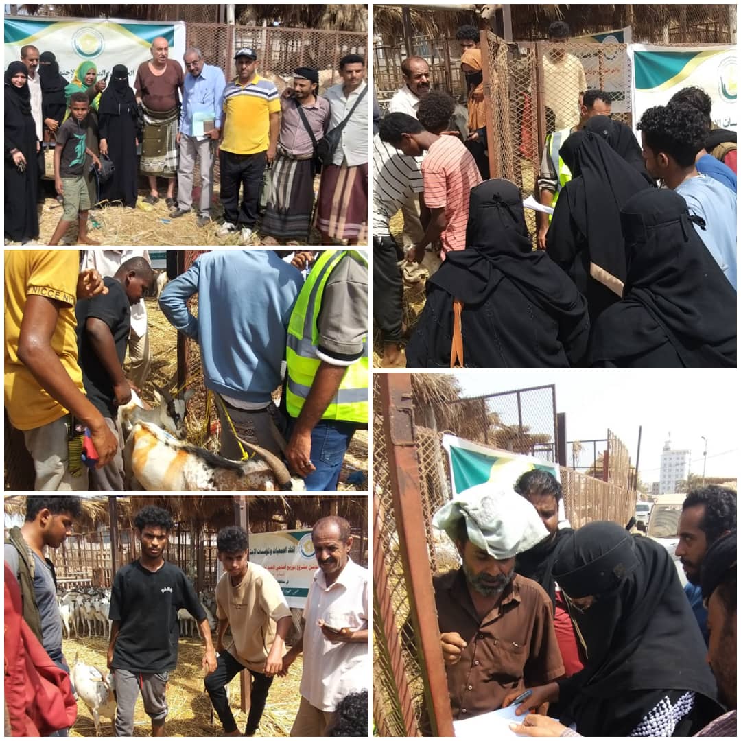 اتحاد الجمعيات والمؤسسات الخيرية.. يدشن توزيع أضاحي العيد 1 IMG 20250607 WA0109