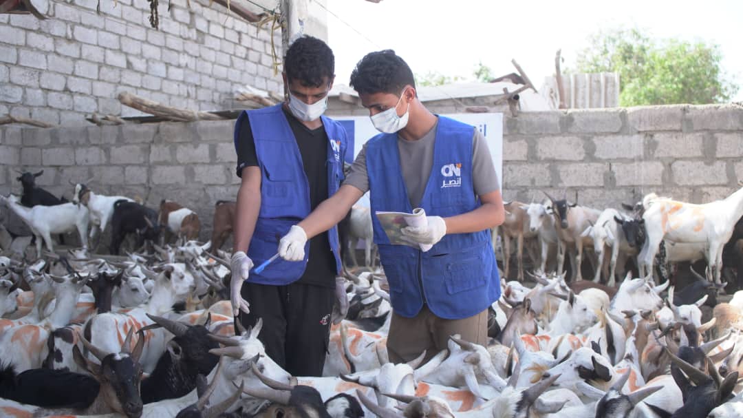 الهيئة العالمية للإغاثة والتنمية تختتم مشروع توزيع الأضاحي في أربع محافظات 1 IMG 20250610 WA0036