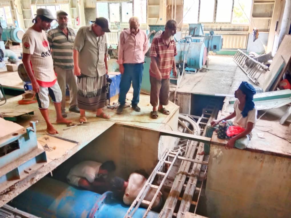 IMG 20250626 WA00101