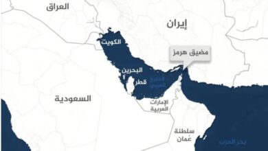IMG ٢٠٢٥٠٦٢٢ ١٨١٦٣١