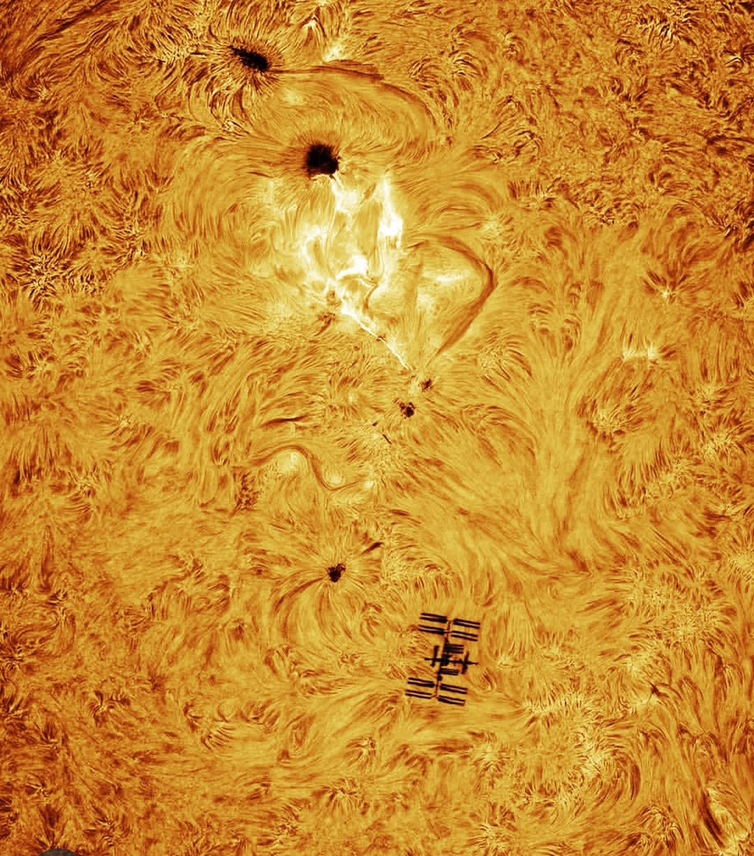 IMG ٢٠٢٥٠٦٣٠ ٢٣٠٨١١