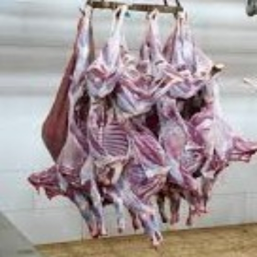 ٢٠٢٥٠٦٠٧ ١٥٥٩٤٥