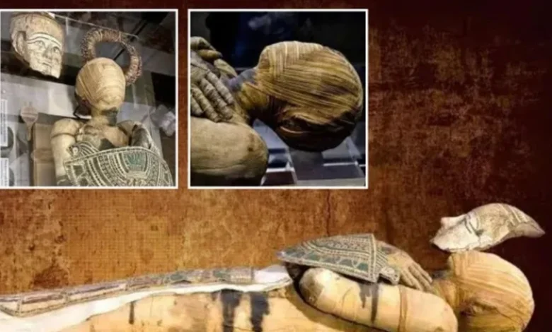 لا يمكن المسـ ـاس بها .. ما القصة المـ ـخيـ ـفة خلف المـ ـومـ ـياء المصرية الغامـ ـضة؟ 1 2025728098857IA