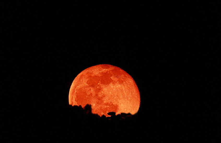 67d29b0c4c59b7335f66ebe1