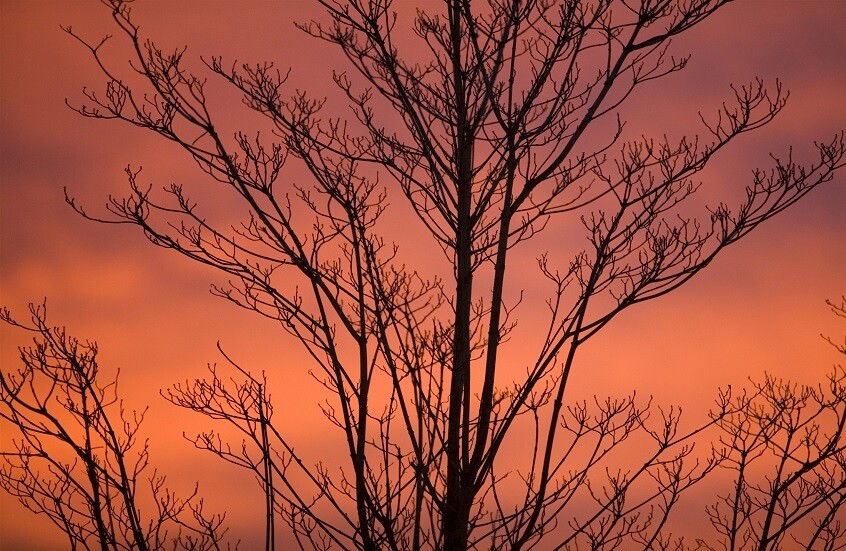 688709434236047f74566fc0