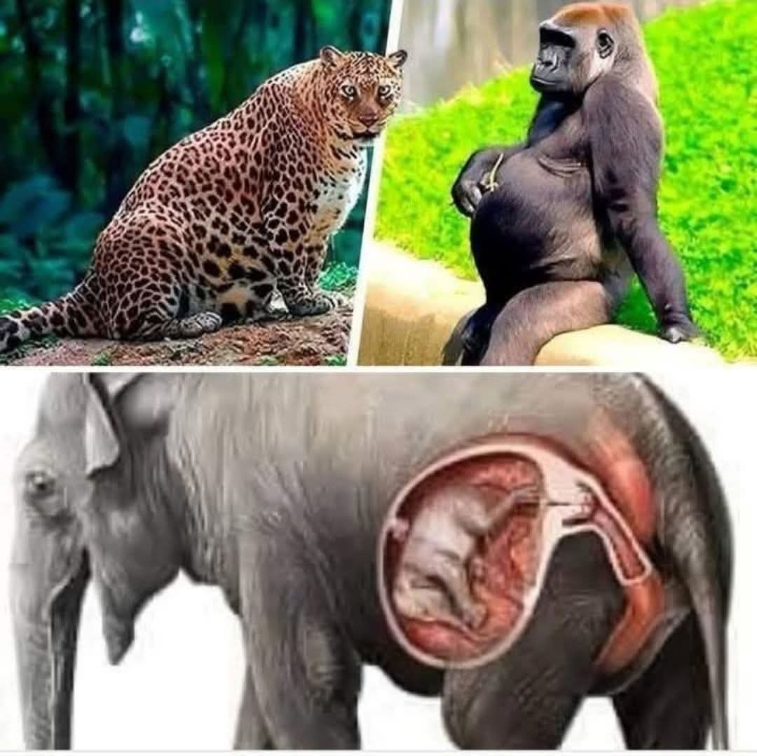 FB IMG 1753301260428