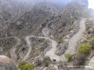 IMG 20250710 WA0006