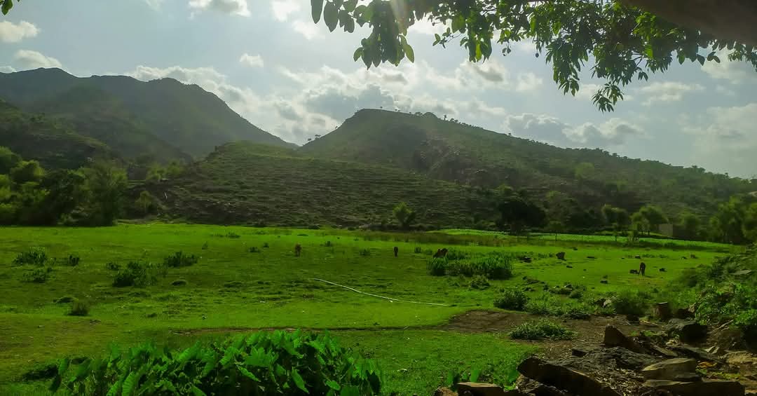 IMG 20250717 WA00011