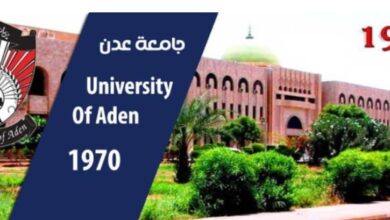 IMG ٢٠٢٥٠٧١٠ ١٩١٣٠١
