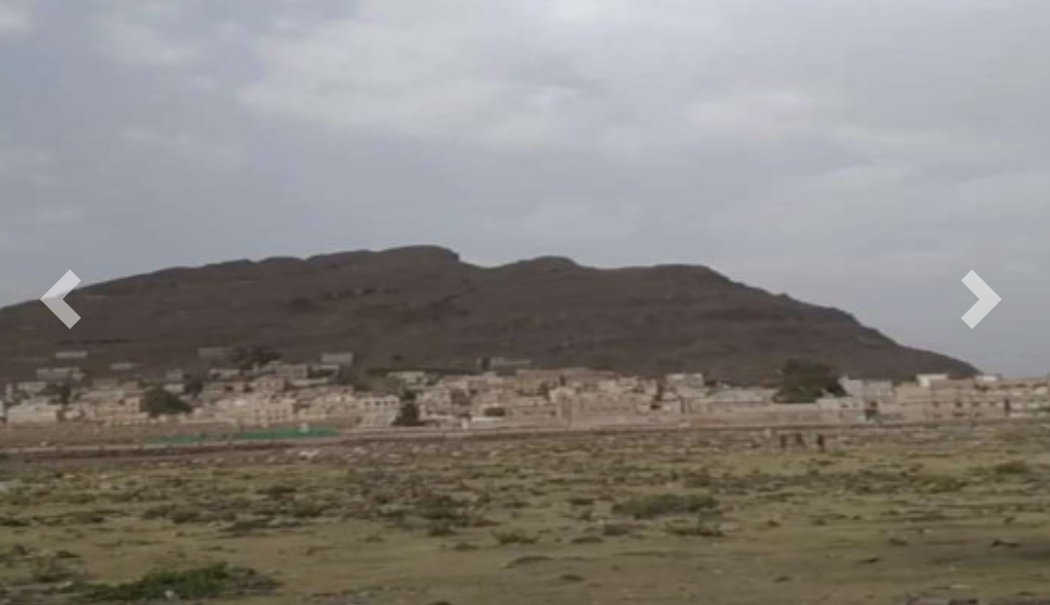 IMG ٢٠٢٥٠٧٢٥ ١١٠٦٢٠