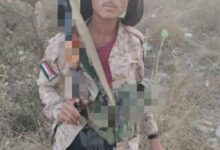 IMG ٢٠٢٥٠٧٢٧ ٢٣٠٤١٧