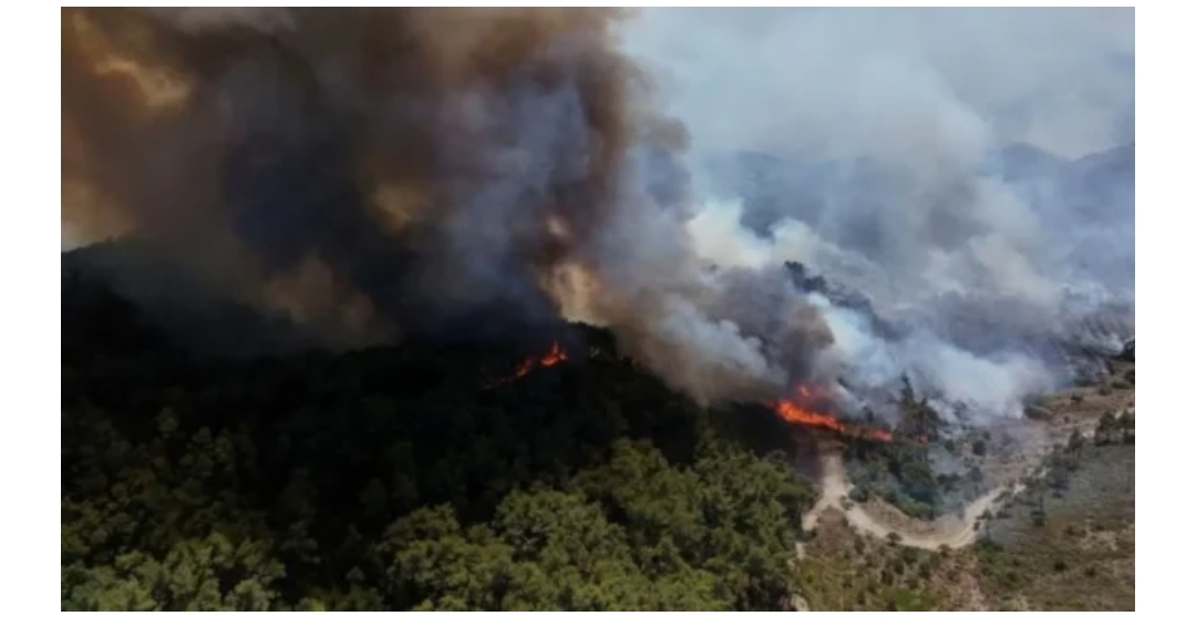 امتداد حرائق الغابات باللاذقية على مساحة 15 ألف هكتار 1 Screenshot ٢٠٢٥ ٠٧ ١٢ ٠٠ ٤٢ ٥٦ ٢٤٤ today.akhbarna.news .prod edit