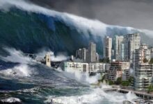 tsunami4