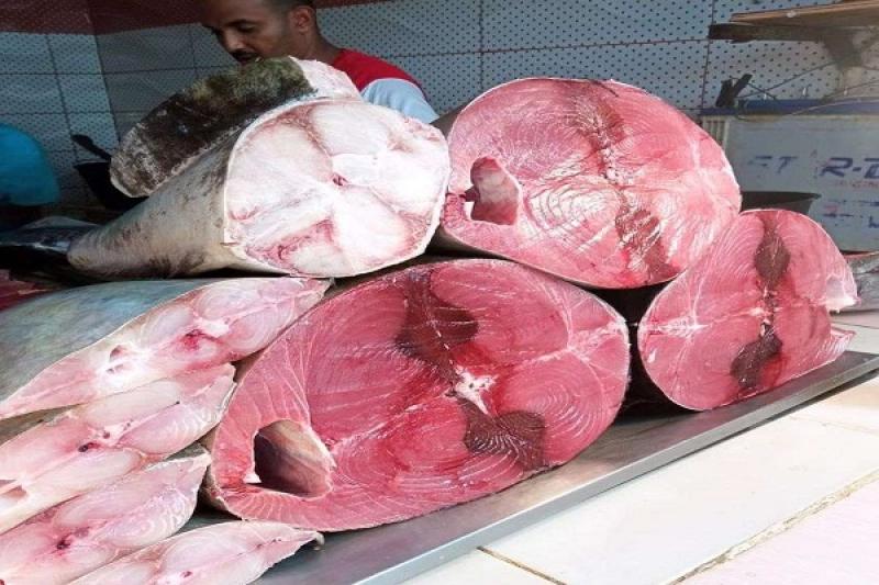 جديد أسعار الأسماك صباح اليوم الأحد 24 أغسطس 2025م بالعاصمة عدن 1 28 07 2024 07 51 44