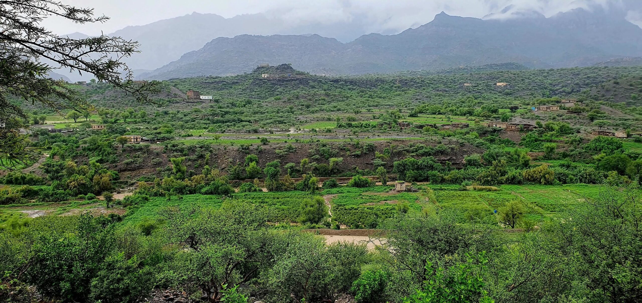 536287286 3130981807069730 7193030127254621685 n scaled