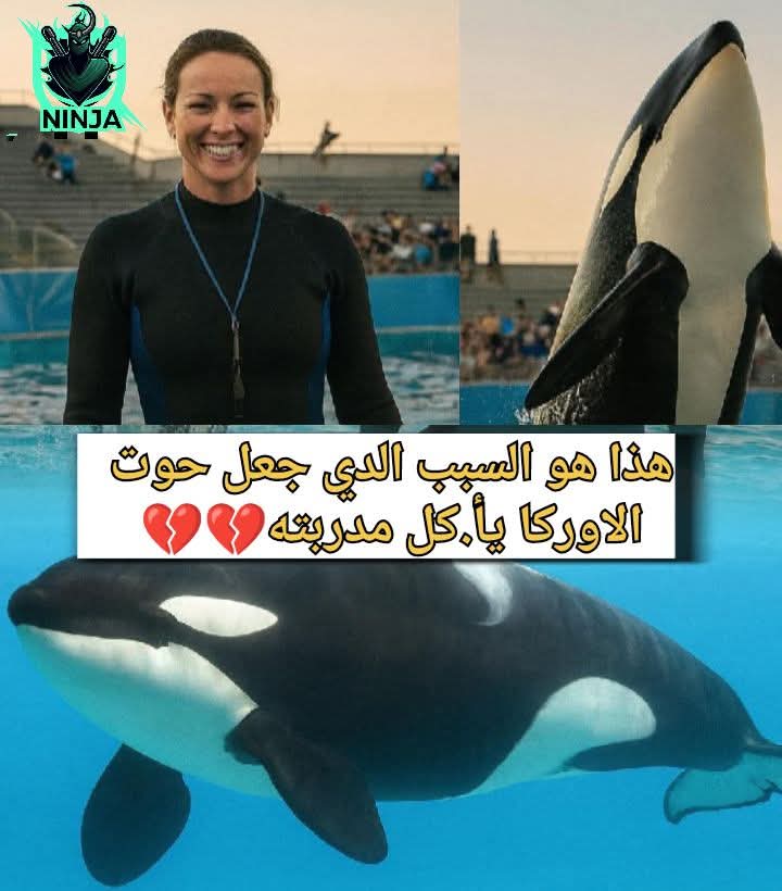 ثوان قلبت العرض رأسًا على عقب .. سر اندفاع الأوركا نـ ـحـ ـو المدربة أمام الجمهور 1 IMG 20250811 WA0103