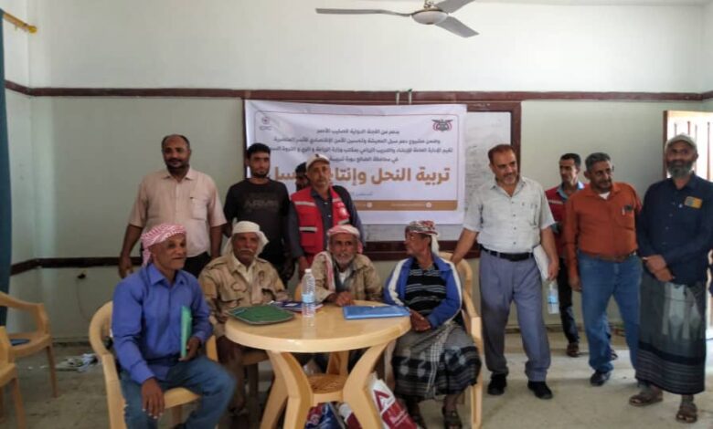 300 متدرب على مشروع تربية النحل ومأمور مديرية الضالع يطلع على الدورة التدريبية 1 IMG 20250825 WA00311