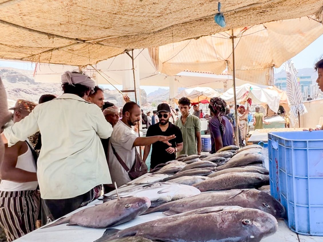 هيئة المصائد السمكية في صيرة تضبط كمية من الأسماك المتعفنة وتتلفها 1 IMG 20250826 WA0031