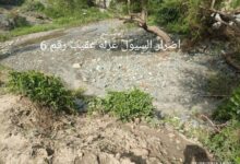 IMG 20250828 WA0020