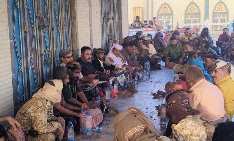 رئيس تنفيذية انتقالي أبين يلتقي قبائل باكازم أحور للوقوف على مطالبها 1 IMG 20250828 WA00571