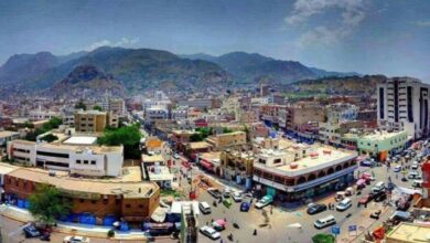 IMG ٢٠٢٥٠٨٠٣ ٢١٢٤٤٧