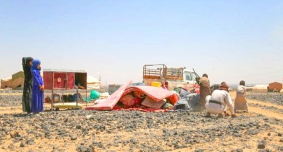 IMG ٢٠٢٥٠٨٠٩ ٢٣٠٦٠٩