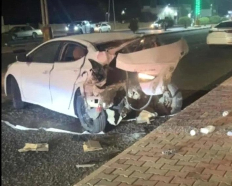 IMG ٢٠٢٥٠٨١٧ ١١٠١٤٩