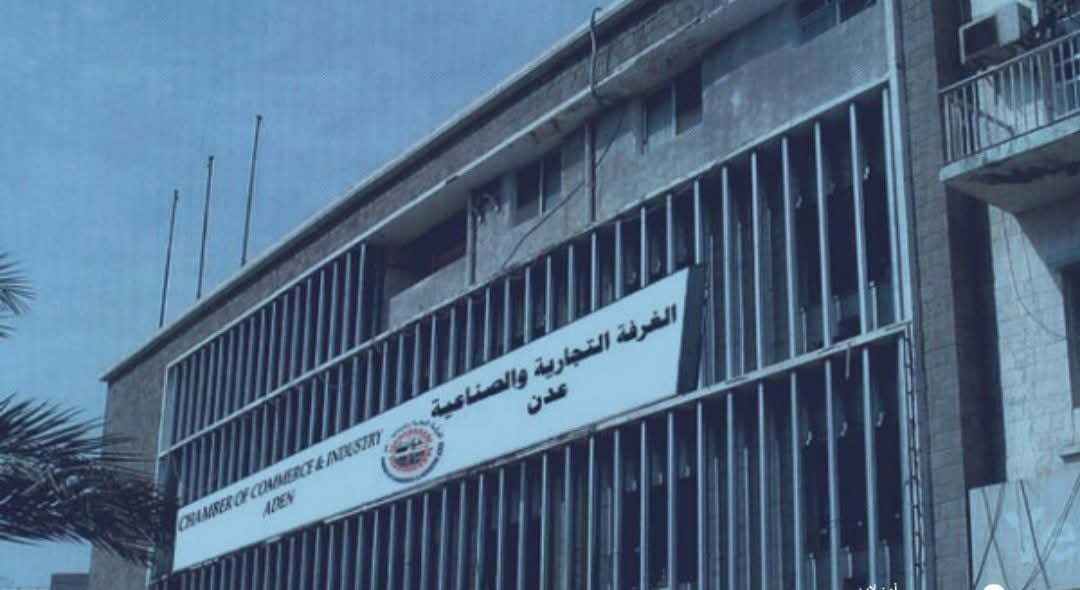 IMG ٢٠٢٥٠٨٢٥ ٠٨٠٢٣٦