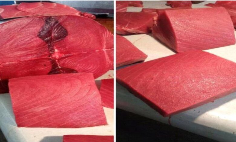 أسعار الأسماك اليوم الثلاثاء بالعاصمة عدن 1 IMG ٢٠٢٥٠٨٢٦ ٠٦٢٠٣٢