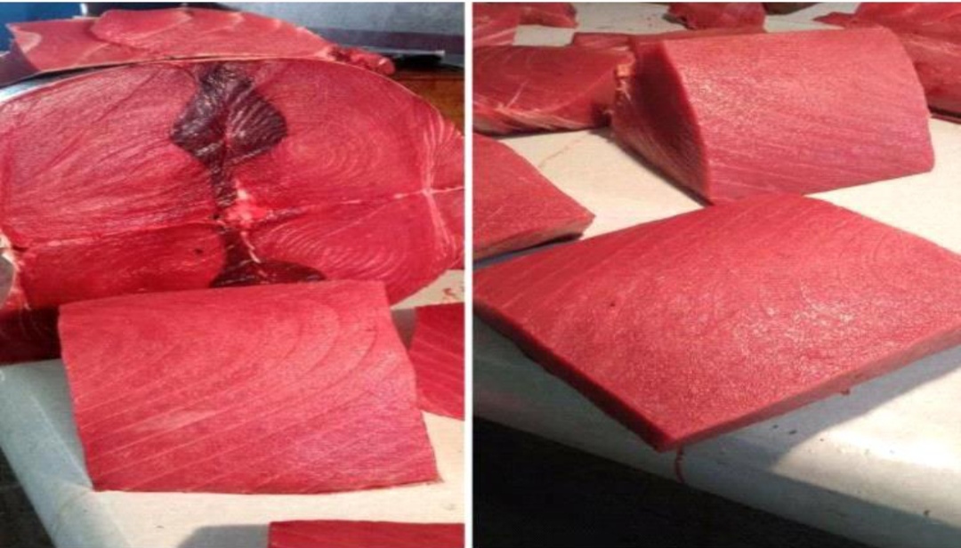 IMG ٢٠٢٥٠٨٢٦ ٠٦٢٠٣٢