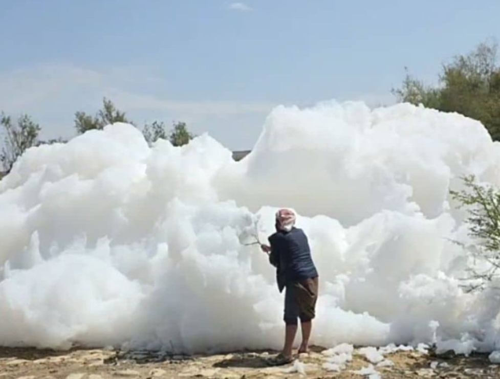 IMG ٢٠٢٥٠٨٢٦ ١٠٠٤١٣