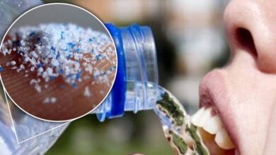 196 153359 drinking plastic without realizing british study 2