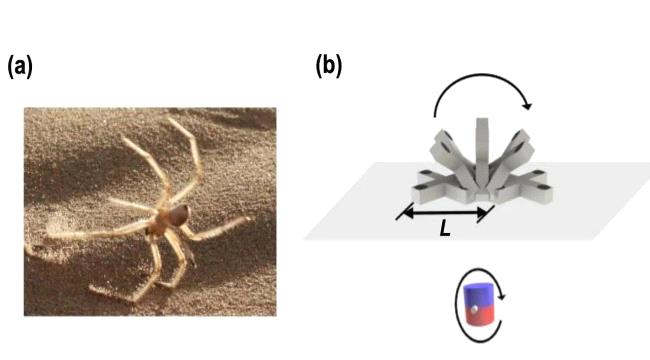 47b1a5e9 940e 4b09 beac f748ce33e3a7