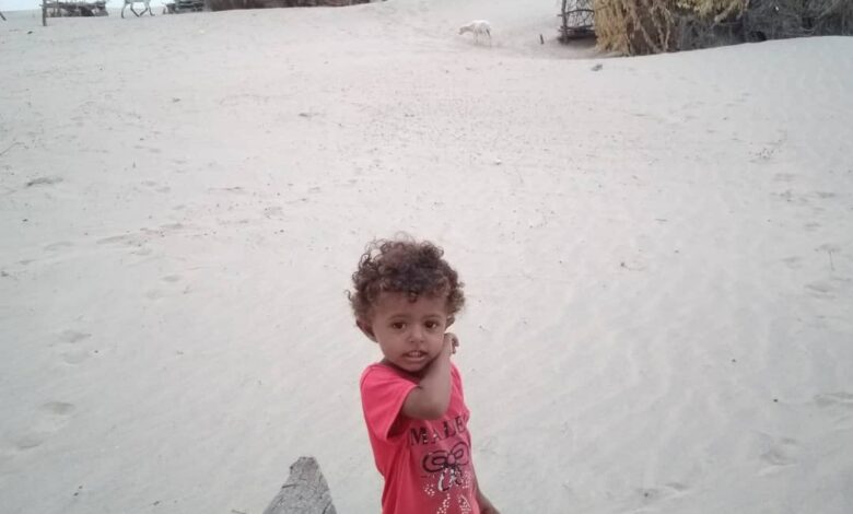 قرية منكوبة في أبين تستغيث: السكان بلا طعام والسلطات غائبة 1 89d22302 2aae 439e aeb0 6194aca7fb9a