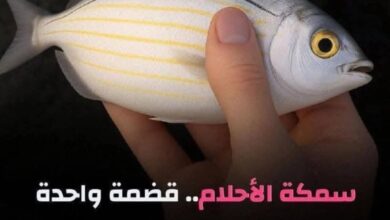 IMG 20250904 WA0101