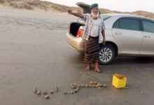 IMG 20250915 WA0025