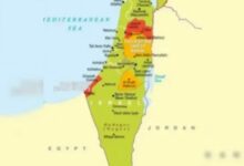 IMG ٢٠٢٥٠٩٢٢ ١٥٢٤٥٨