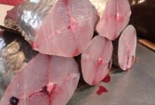 أسعار الأسماك اليوم الأربعاء بالعاصمة عدن 6 02 09 2024 07 52 23