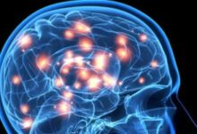 6 عناصر غذائية يؤدى نقصها إلى سرعة شيخوخة الدماغ 8 201908180425462546