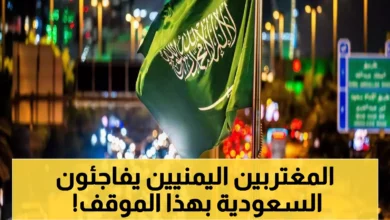 2025 10 24 1761270683638