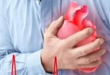 202502120345164516 2