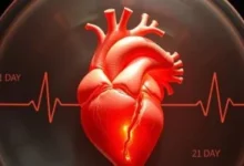 كيف تشكل الصدمات المفاجئة خطرا على القلب.. وما أهم النصائح 8 202507061258115811