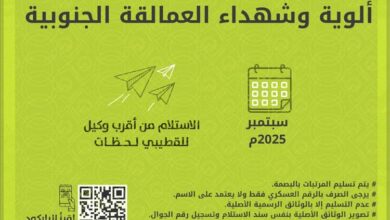 تدشين صرف مرتبات ألوية وشهداء قوات العمالقة الجنوبية لشهر سبتمبر 5 32cd2dcc ab52 469a 9a7f ac4fe0cfa339