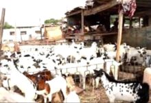 5c3e4de7 1ba6 4e4c b1f6 17875bf72696