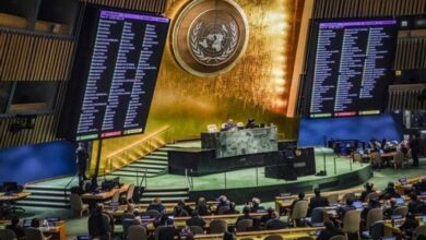 الأمم المتحدة.. 80 عاما في خدمة السلام والإنسانية 5 6fe3ac3e e297 4e50 9c2a a98ff69facd6 1 1