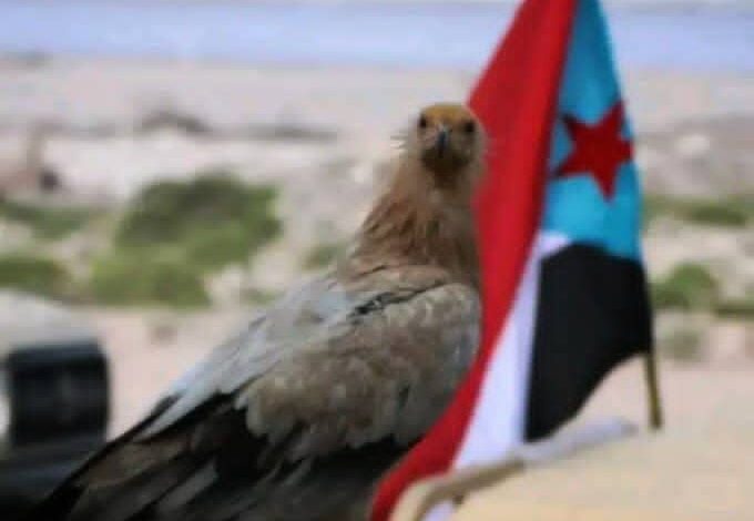 الناشط الحقوقي الجنوبي أسعد أبو الخطاب يوجه رسالة إلى القيادة الجنوبية: "حتى لا تتكرر المسرحية..غيروا الممثلين والـ ـخـ ـونـ ـة" 1 IMG 20251021 WA0014