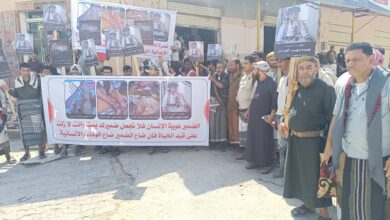 IMG 20251021 WA00781