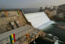 IMG ٢٠٢٥١٠٠٤ ١٩٤٤٢٥