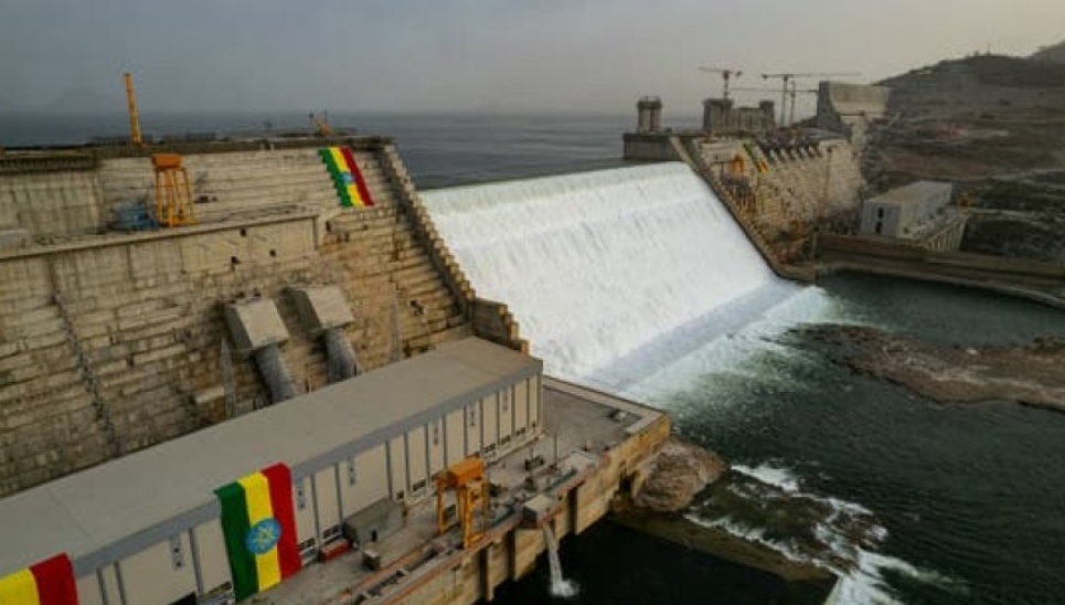 IMG ٢٠٢٥١٠٠٤ ١٩٤٤٢٥