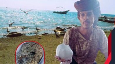 جـ ـنـ ـدي من درع الـ ـوطـ ـن يكتشف (كنزًا) سيغير حـ ـياتـ ـه في لحج .. تفاصيل 5 IMG ٢٠٢٥١٠٢٣ ١١٥٦٥٠